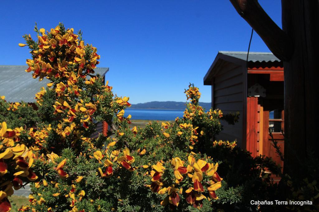 Terra Incognita Villa Ushuaia Exterior photo